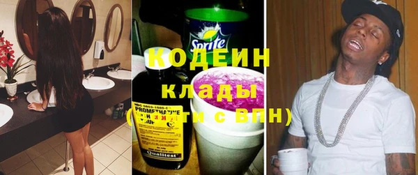 молекула духа Каменногорск