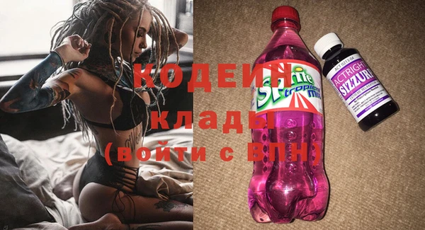 молекула духа Каменногорск