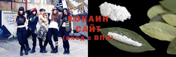 молекула духа Каменногорск