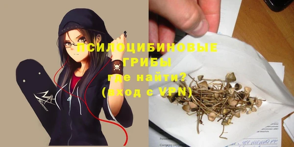 молекула духа Каменногорск