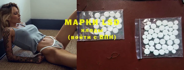 молекула духа Каменногорск
