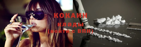 молекула духа Каменногорск