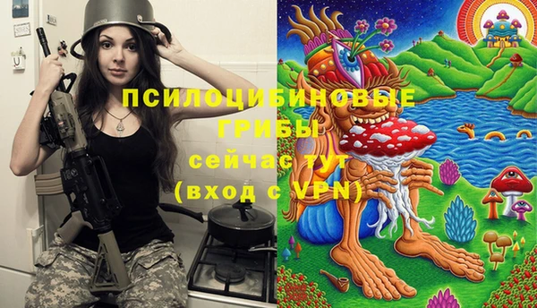MDMA Каменка