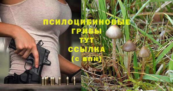MDMA Каменка