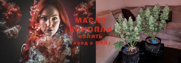 молекула духа Каменногорск