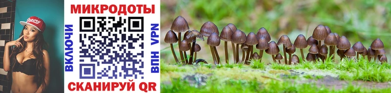 Галлюциногенные грибы ЛСД Купить закладки Камызяк